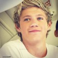 /album/one-direction/niall-horan-2012-one-direction-32147821-2000-2000-jpg/